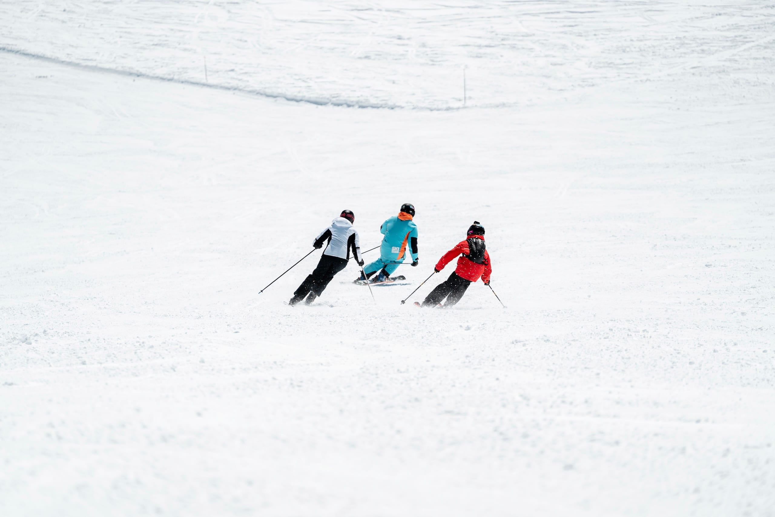 Bronze Ski